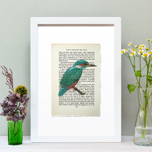 Kingfisher vintage book page art print