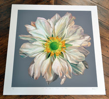 Load image into Gallery viewer, &#39;At the edge of a petal&#39; limited edition giclee print