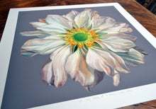 Load image into Gallery viewer, &#39;At the edge of a petal&#39; limited edition giclee print
