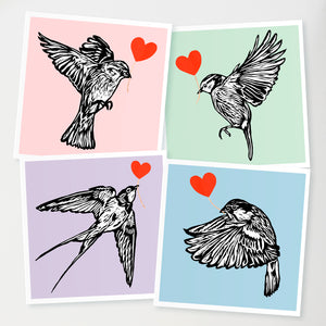 Feathered friends card collection