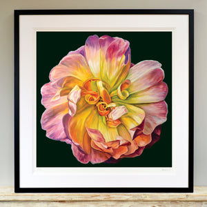 'The flower is free' limited edition giclee print
