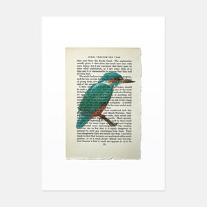 Kingfisher vintage book page art print