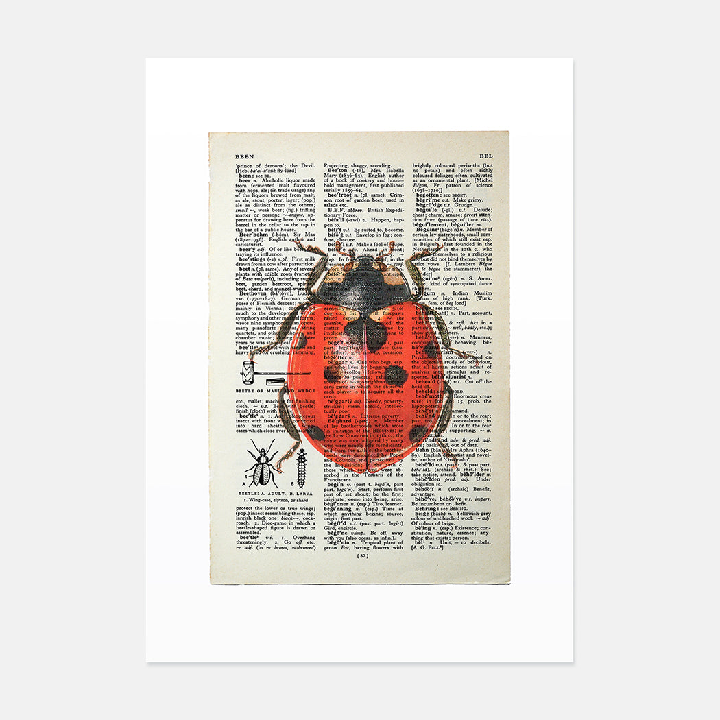 Ladybird vintage book page art print