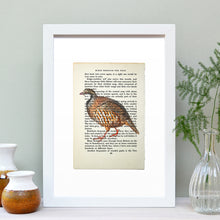 Load image into Gallery viewer, Partridge vintage book page art print