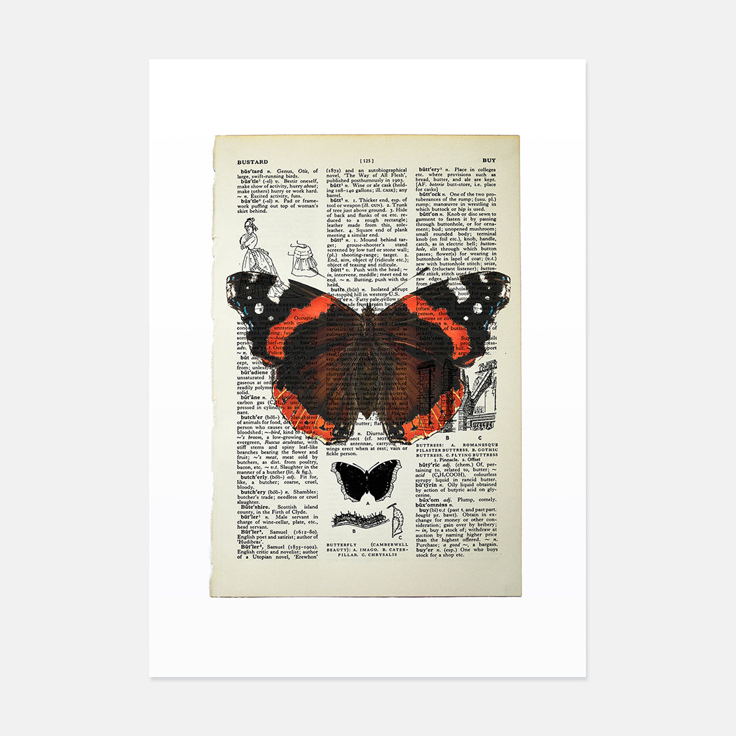 Red Admiral butterfly vintage book page art print