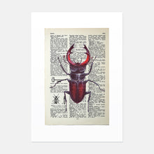 Load image into Gallery viewer, Beetle vintage book page art print