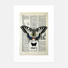 Load image into Gallery viewer, Swallowtail butterfly vintage book page art print