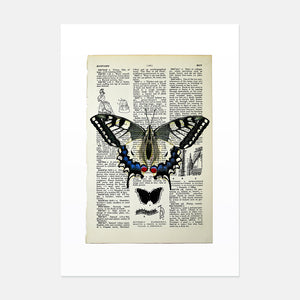 Swallowtail butterfly vintage book page art print