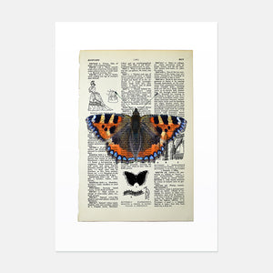 Tortoiseshell butterfly vintage book page art print