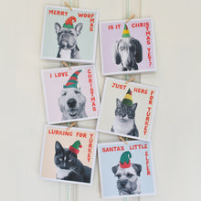 Load image into Gallery viewer, Christmas Pets - Dogs &amp; Cats Christmas card pack