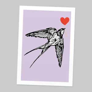 Swallow feathered friends print